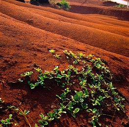 解谜游戏《Awaria》Steam页面开放 发行日期待定