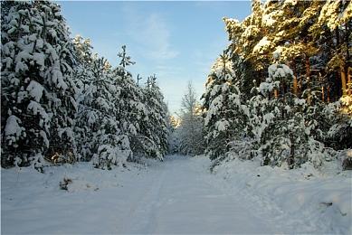 《使命召唤：战区》经典回归地图Verdansk从零用新技术重做